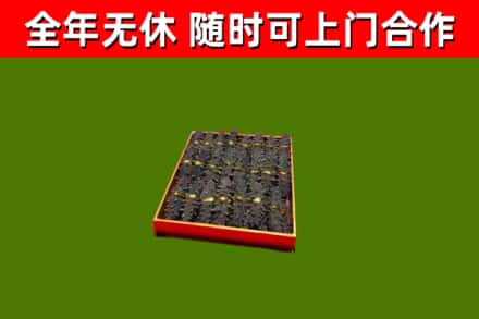 新罗回收海参